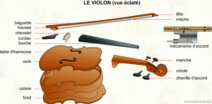 Le violon (vue éclatée) (Dictionnaire Visuel)